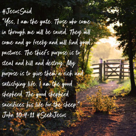 Jesus is the Gate and the Good Shepherd. 